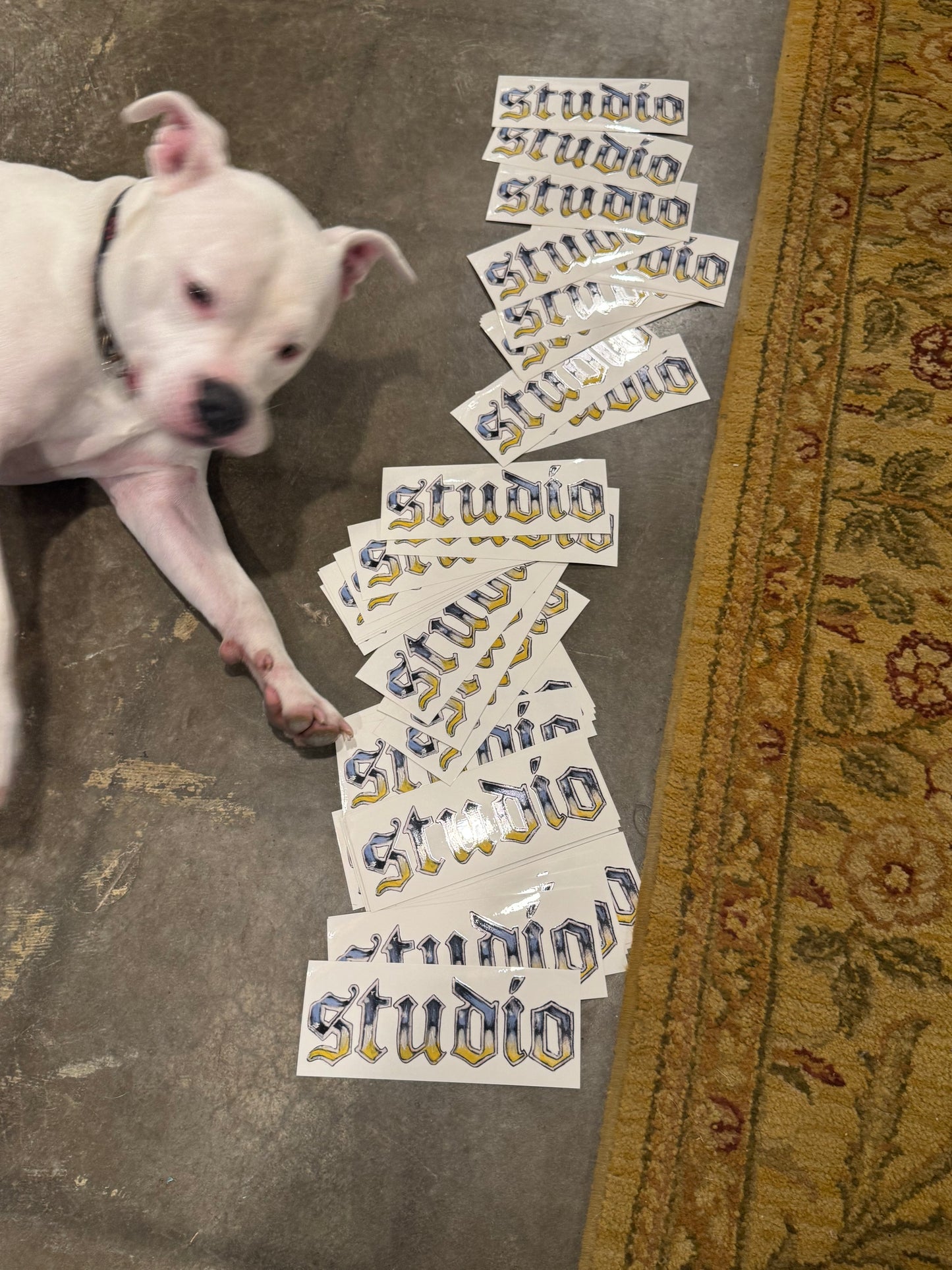 studio howyadoineverybody 8in x 3in sticker