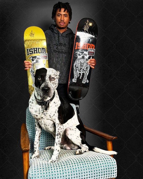 real ishod good dog ssd deck 8.5