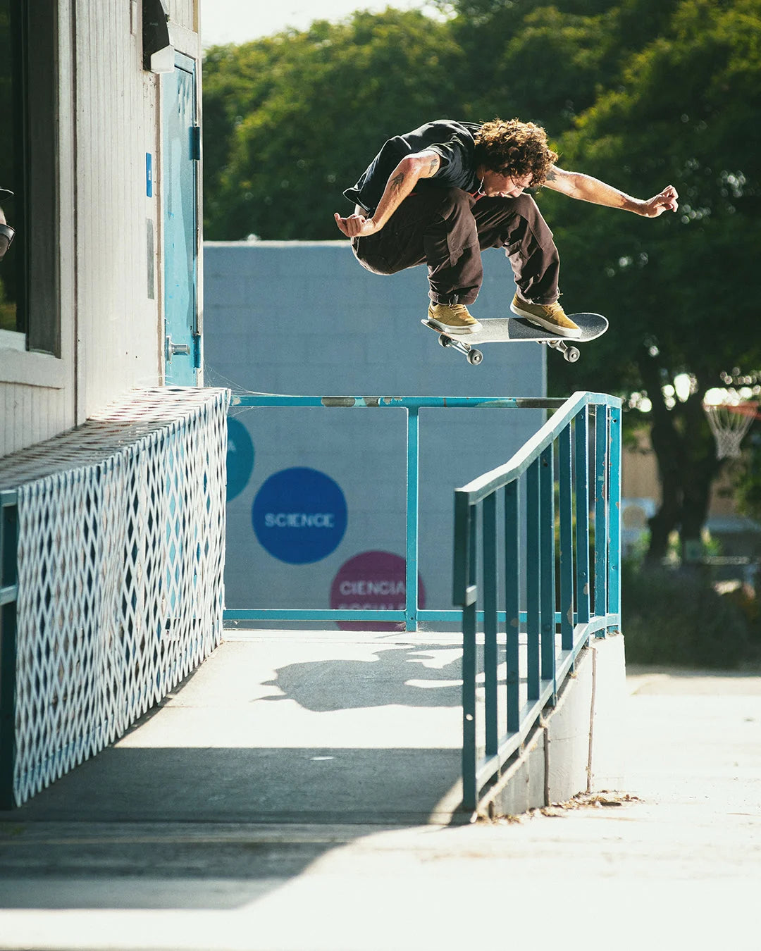 emerica hoban shoe kelp